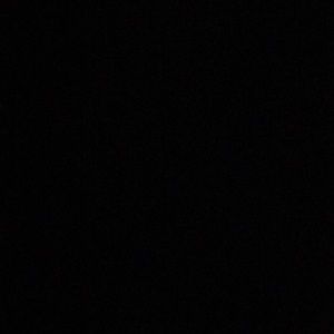 Meet your Posher, Arlene